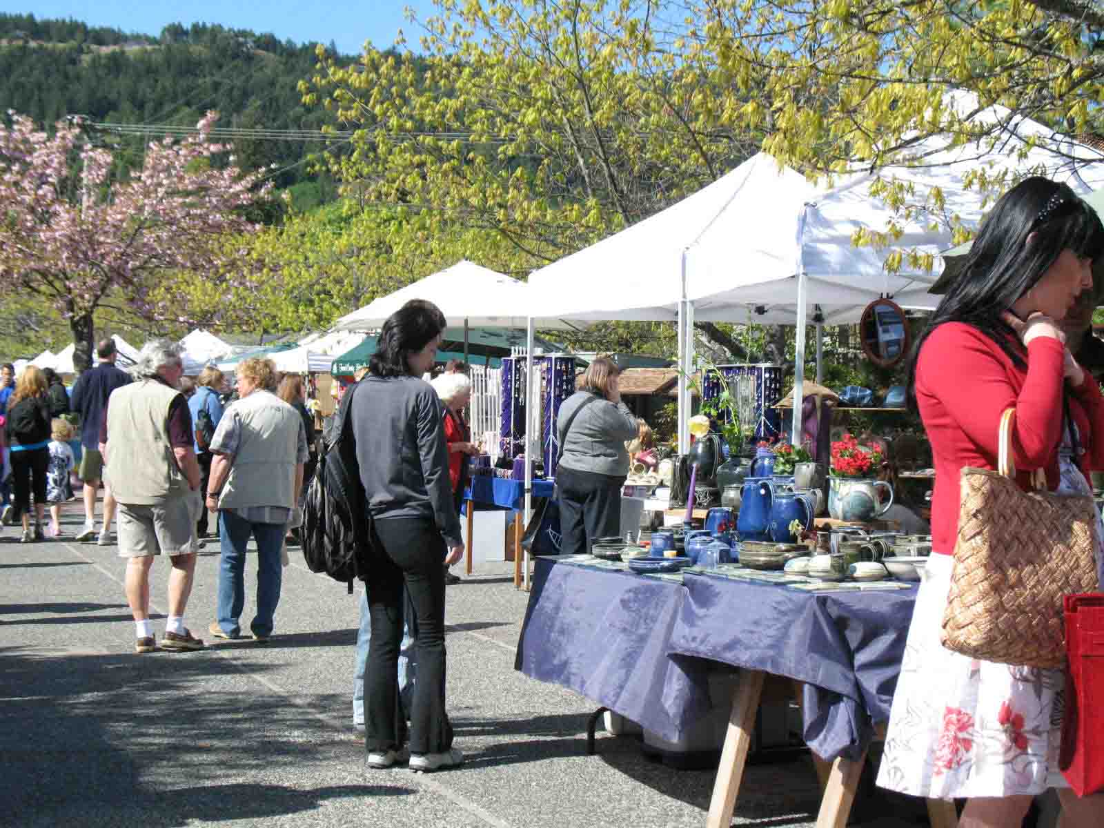 salt-spring-island-saturday-market
