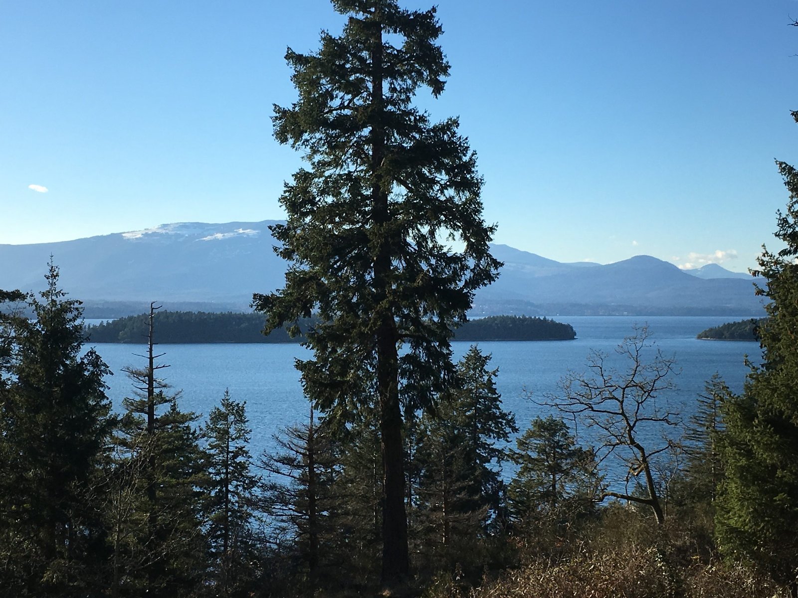 October afternoon over the water from Quarrystone House